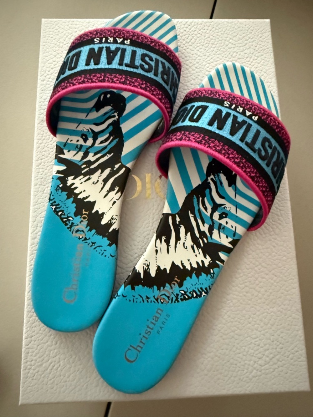 Dior Blue, Black & Pink Slide Sandals